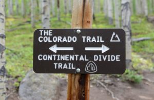 A trail marker in the Colorado Mountains.