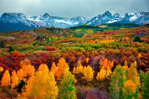 Autumn trees with snow capped mountains in the background