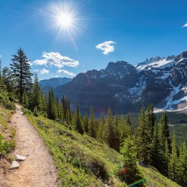 Mountain hiking trail in Winter Park, Colorado.