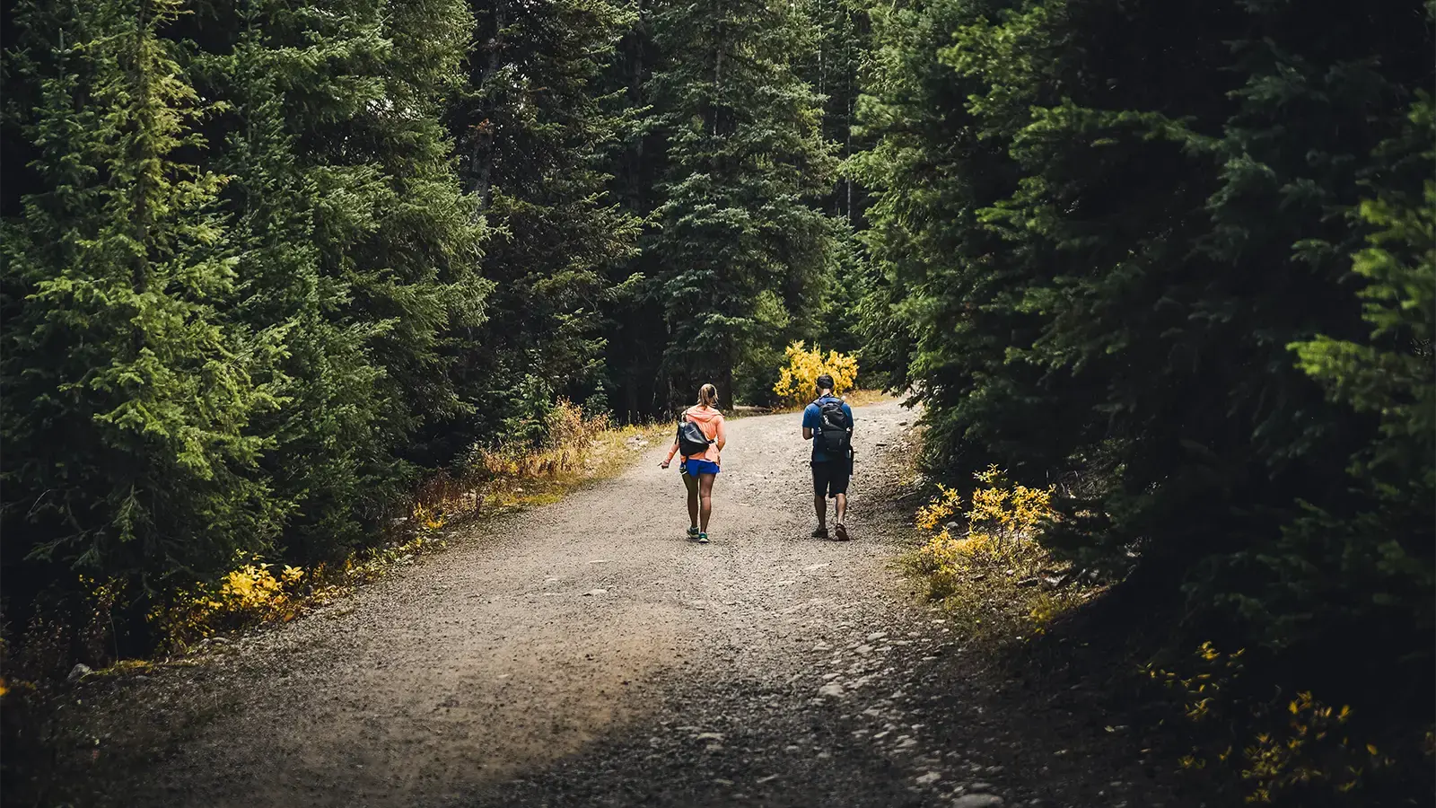 Couple walking on a mountain path during autumn